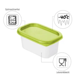 ROTHO Set Gefrierdosen 4 X 0.2 L DOMINO, Farbe:Limettengrün 8 ROTHO Set Gefrierdosen 4 X 0.2 L DOMINO, Farbe:Limettengrün -Haushalts Verkauf 13ebf58034d2b9173e889973e1e790e8