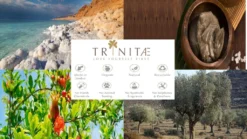 Nachtmann Vorteilsset 2 X 4 Glas/Stck Obstbrand 50/46 Vivendi 89736 Und Gratis 1 X Trinitae Körperpflegeprodukt 7 Nachtmann Vorteilsset 2 X 4 Glas/Stck Obstbrand 50/46 Vivendi 89736 Und Gratis 1 X Trinitae Körperpflegeprodukt -Haushalts Verkauf 67077e59e1a1032d5c820cf4eae4ab17