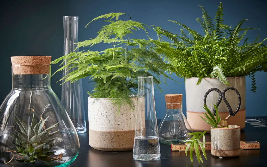 Mica Decorations Emily Vorratsglas - H32 X Ø29,5 Cm - Transparent 8 Mica Decorations Emily Vorratsglas - H32 X Ø29,5 Cm - Transparent – Bild 8