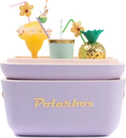 Kühlbox | Passive Kühlbox | Kühltaschen Polar In Retro Vintage Design Aus Kunststoff Mit Polystyrol (Airpop) Thermische Isolierung, 20L In Lila -Haushalts Verkauf 8ae6293e8cab636eb3feeceddf211e14