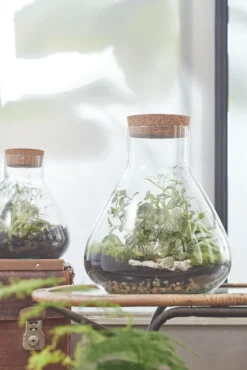 Mica Decorations Emily Vorratsglas - H32 X Ø29,5 Cm - Transparent 18 Mica Decorations Emily Vorratsglas - H32 X Ø29,5 Cm - Transparent -Haushalts Verkauf a9f7625d673e1ef6ea2b9778e30f072c