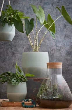 Mica Decorations Emily Vorratsglas - H32 X Ø29,5 Cm - Transparent 16 Mica Decorations Emily Vorratsglas - H32 X Ø29,5 Cm - Transparent -Haushalts Verkauf c77d52452abee1b3b34a268c31c0f2c3