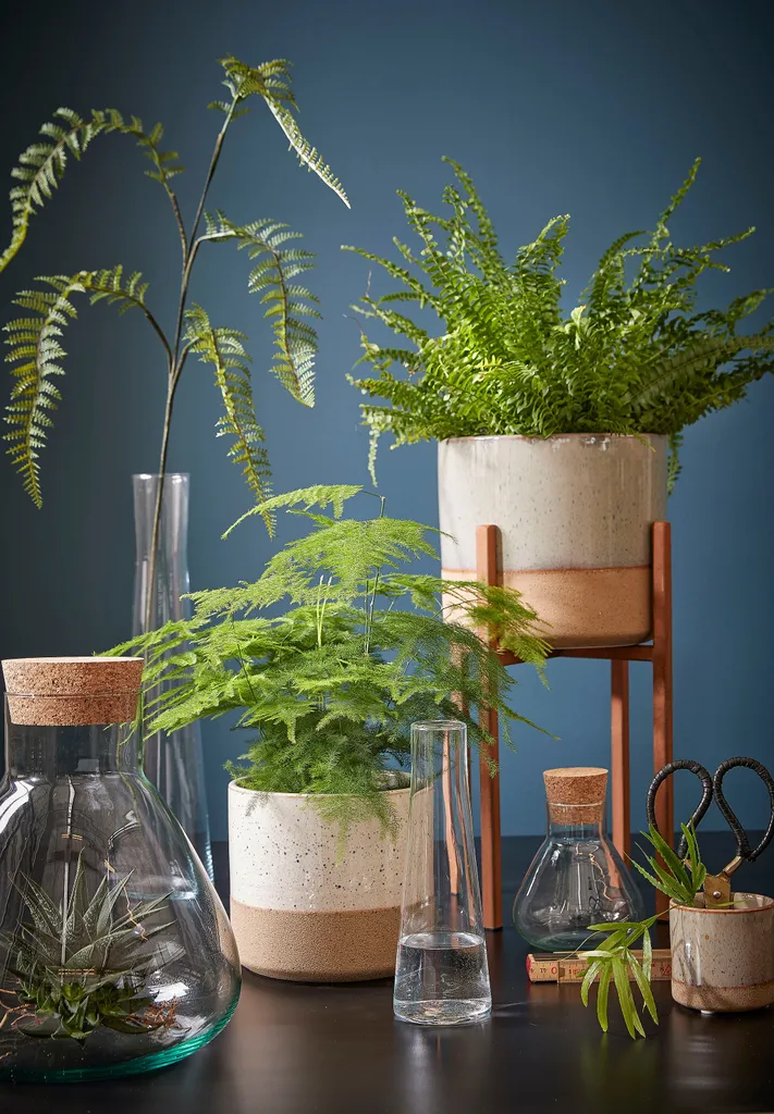 Mica Decorations Emily Vorratsglas - H32 X Ø29,5 Cm - Transparent 10 Mica Decorations Emily Vorratsglas - H32 X Ø29,5 Cm - Transparent – Bild 10