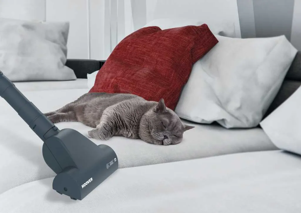 Hoover TeliosPlus TE70 TE75 Bodenstaubsauger Mit Gummierten Laufrädern 11 Hoover TeliosPlus TE70 TE75 Bodenstaubsauger Mit Gummierten Laufrädern – Bild 11