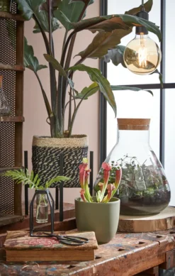 Mica Decorations Emily Vorratsglas - H32 X Ø29,5 Cm - Transparent 14 Mica Decorations Emily Vorratsglas - H32 X Ø29,5 Cm - Transparent -Haushalts Verkauf eb27dff841aa8ba12737380badcb50be